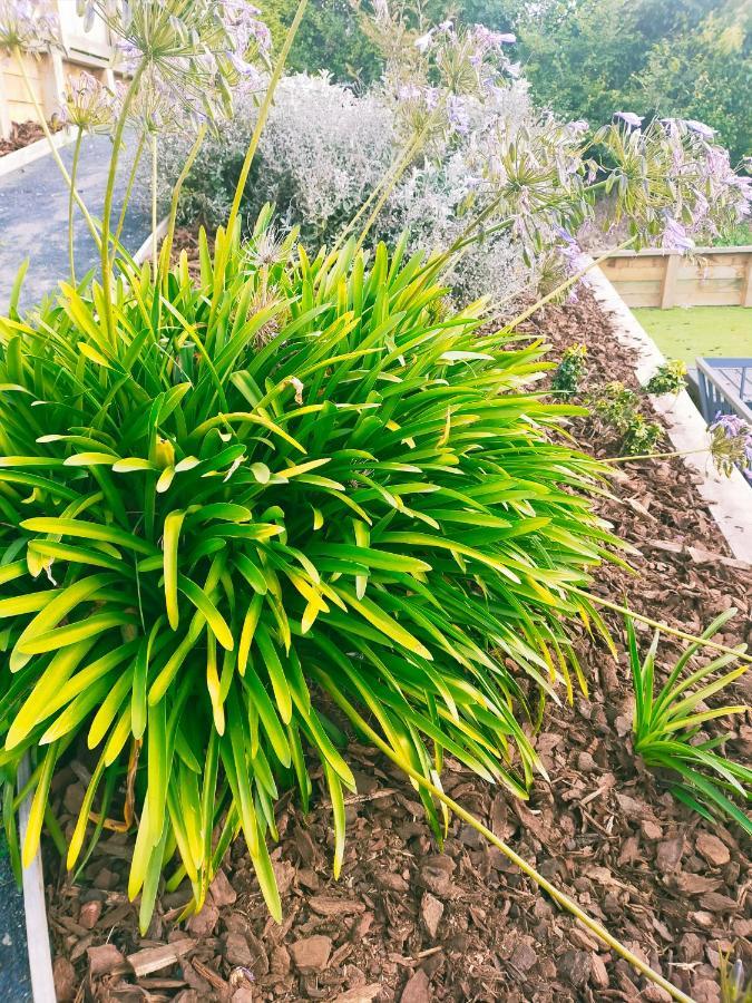 Relax In Kenmure Dunedin Exterior foto
